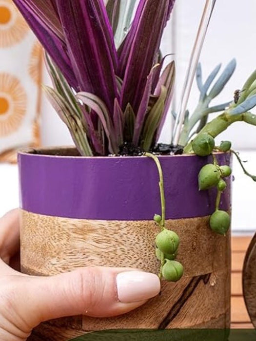 Light & Dark Purple Planter Combo