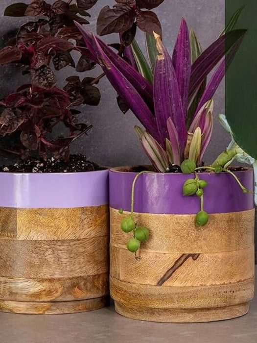 Light & Dark Purple Planter Combo