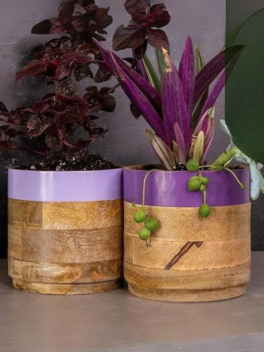 Light & Dark Purple Planter Combo