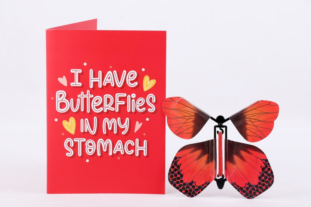 Valentine Butterfly card