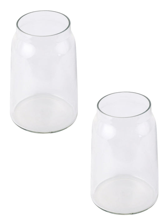 Transparent Glass Terri Vase