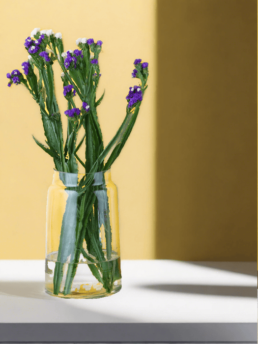 Transparent Glass Terri Vase